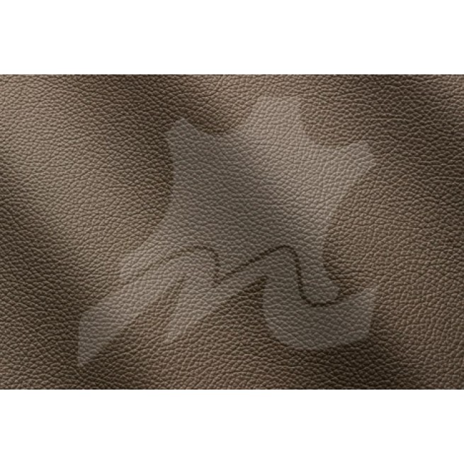 Aligo Group фото